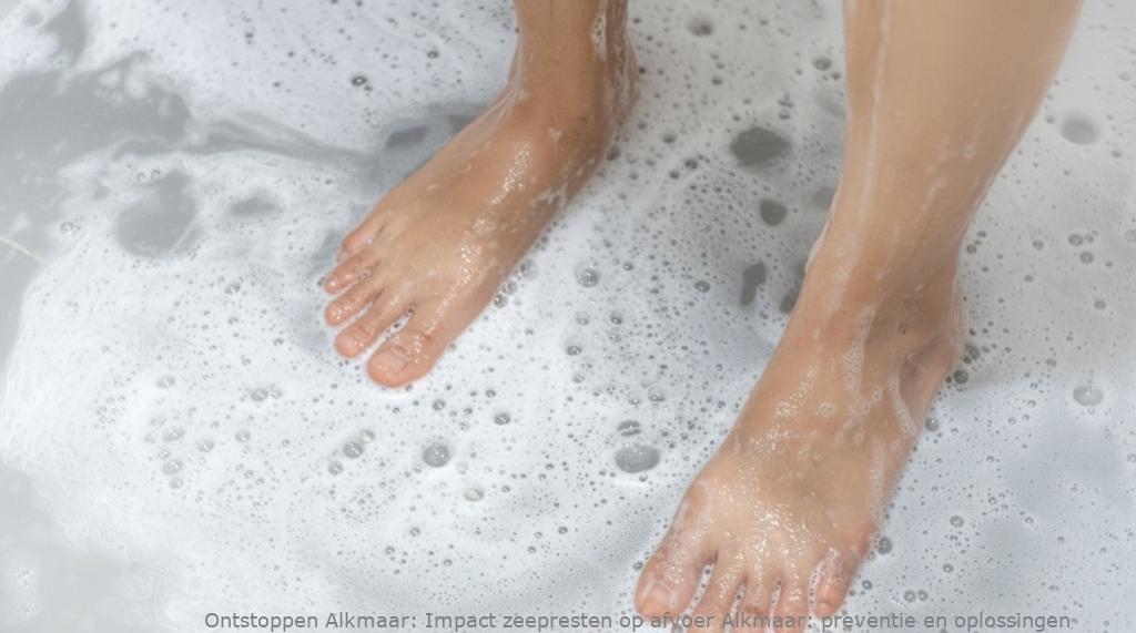 Impact zeepresten op afvoer Alkmaar: preventie en oplossingen