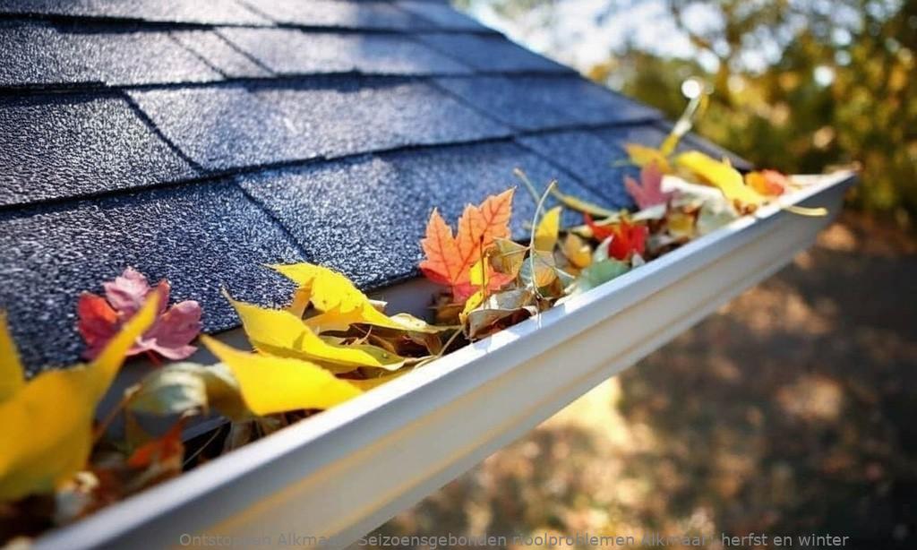 Seizoensgebonden rioolproblemen Alkmaar: herfst en winter