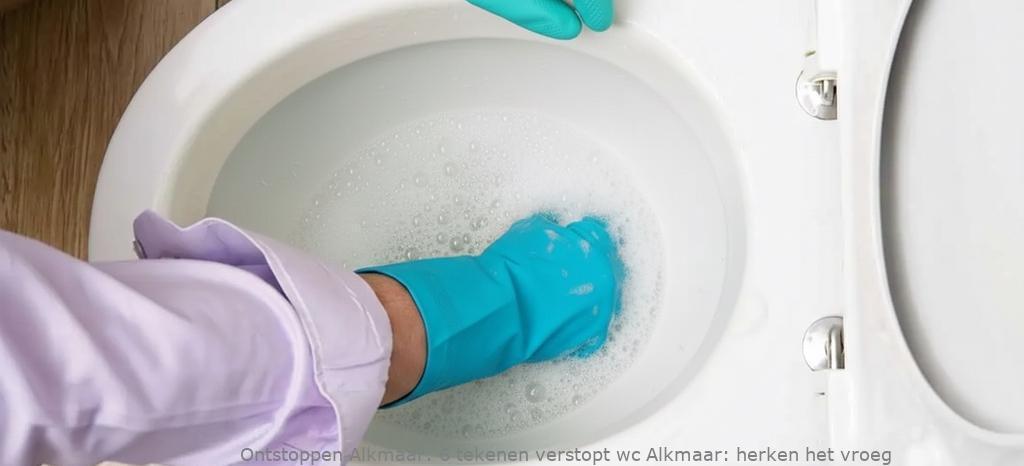 6 tekenen verstopt wc Alkmaar: herken het vroeg